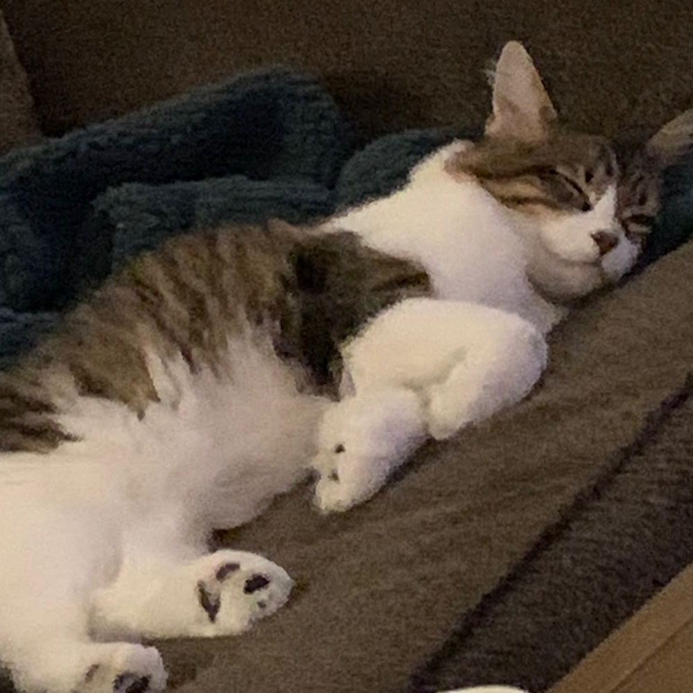 Meet your Posher, Ema